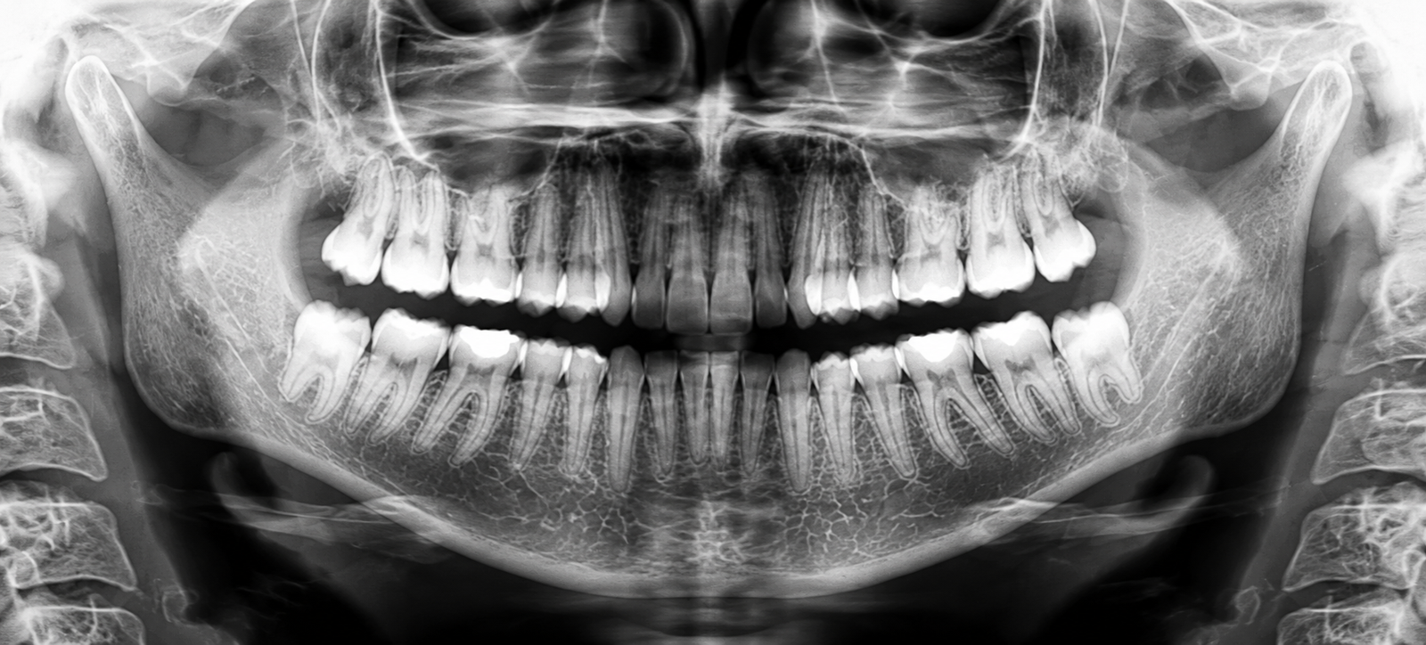LÚMINA RADIOLOGIA — imagem 2