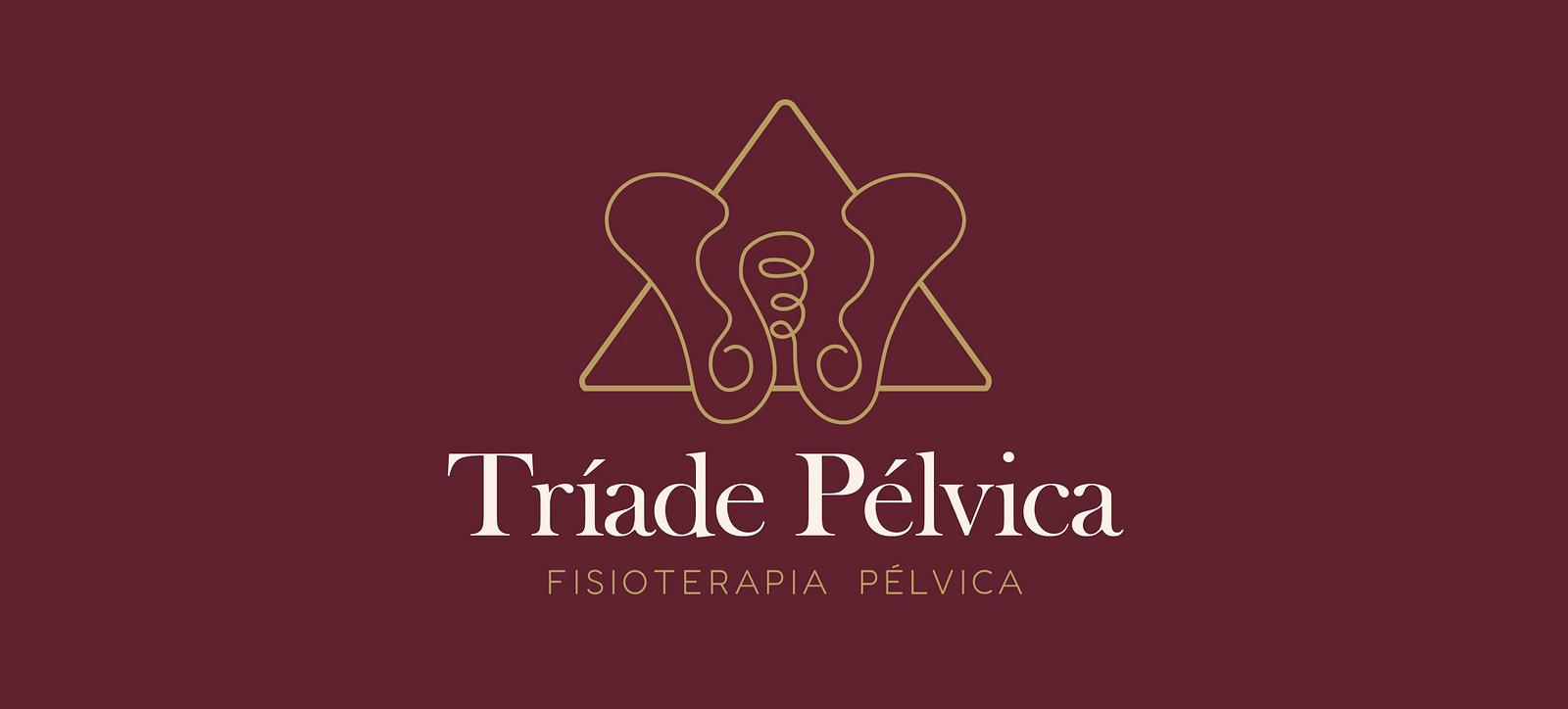 Tríade Pélvica Fisioterapia — imagem 2