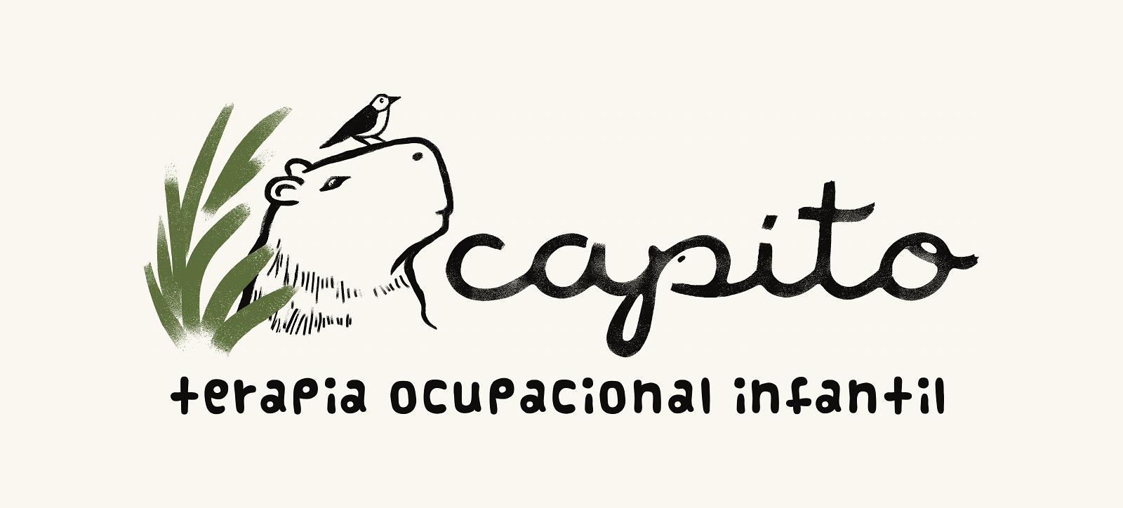 CapiTO Terapia Ocupacional e Fonoaudiologia infantil — imagem 1